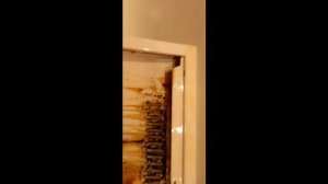 КАК РАЗОБРАТЬ и ПОЧИСТИТЬ от ЖИРА и ГРЯЗИ  ВЫТЯЖКУ Разобрали и УЖАСНУЛИСЬ Была СТАРАЯ стала НОВАЯ