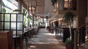 LOUNGE MUSIK профессиональная МУЗЫКА и видео для кафе и ресторанов