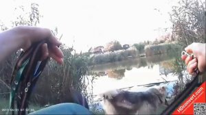 сбор пионерского отряда (1)
