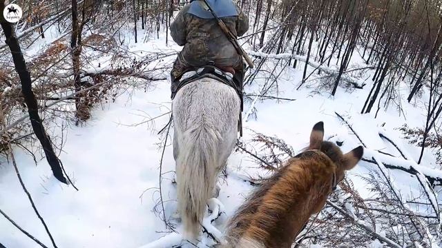 Таежный промысел / Наша избушка / Лошади вездеходы