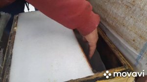 КАК  РАЗВЕСТИ ЩАВЕЛИВУЮ КИСЛОТУ