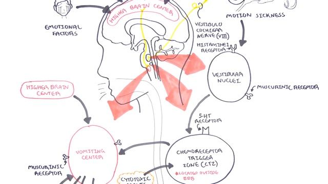 Pharmacology - Antiemetics смотреть онлайн