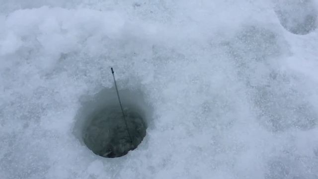 Очередная сработка на пасталовку. РК Фишка Липки. смотреть онлайн