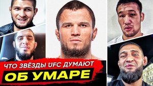 БЕШЕНАЯ РЕАКЦИЯ ЗВЕЗД UFC на УМАРА НУРМАГОМЕДОВА!  МАХАЧЕВ. ХАБИБ, ДАГЕСТАНЕЦ В UFC. НОВОСТИ ММА