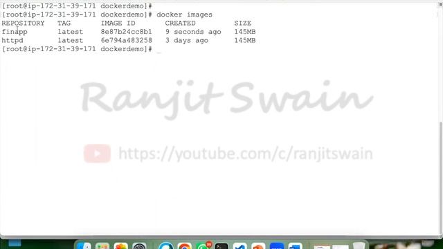 Store and Manage Docker Image in Amazon ECR смотреть онлайн