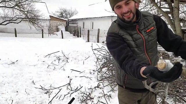 Щепорез, на что он способен? Тест на пределе возможностей! ⚡?Садовый измельчитель TRS.