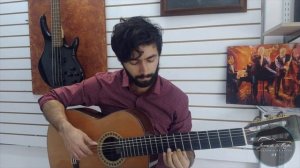 Rock Dog- Guitar Fingerstyle | Lesson |