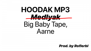 HOODAK MP3 (Medlyak) | Клип | Prod. by Roflerbl