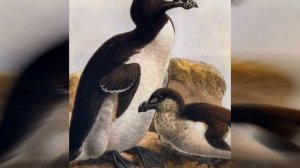 Чёрная книга Бескрылая Гагарка