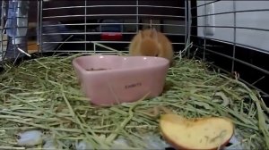 MINECRAFT VS REAL LIFE - МАЙНКРАФТ ПРОТИВ РЕАЛЬНОСТИ #3