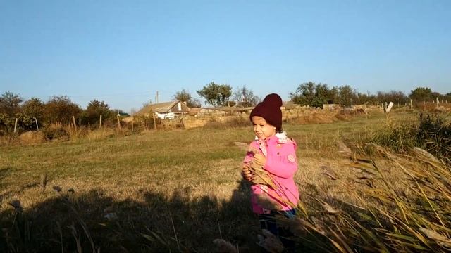Крым | Тихий день и ветреный день на озере Сасык недалеко от Орлянки | Сакский район