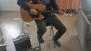 Walden D550ce gitara