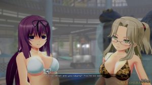 Senran Kagura: Peach Beach Splash - All Bosses (With Cutscenes) PC 1080p60 HD