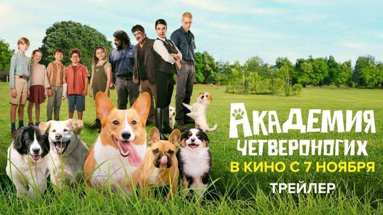 Академия четвероногих - Gli addestratori