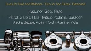 Duo for Clarinet & Bassoon in F Major, WoO 27 No. 2 (Arr. K. Seo for Flute & Bassoon) : III....