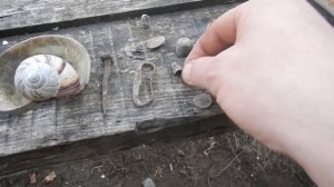 Лесной коп в Суровую Крымскую Зиму Антика и Советы
