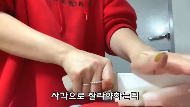 [SUB] VLOG 자취생브이로그/계란말이의 흑역사, 그리고 소고기뭇국, 길고양이와의 만남