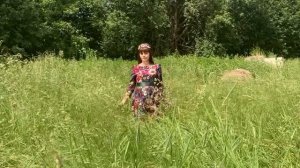 МАТУШКА-РУСЬ слова Марина Самсонова / музыка Дмитрий Милованов / видео Екатерина Пахомова