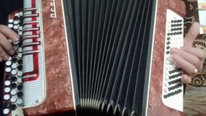 Одинокая ветка сирени В Залкин(кавер баян)