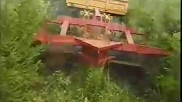 ОСВЕТЛЕНИЕ И ПРОЧИСТКА ЛЕСНЫХ КУЛЬТУР ПО ИНТЕНСИВНЫМ ТЕХНОЛОГИЯМ смотреть онлайн