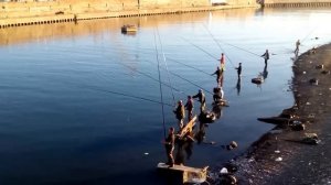 Рыбалка на реке Сочи / fishing on the river Sochi