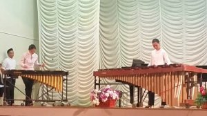 Вибрафон соло/Solo performance on vibraphone