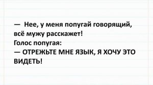 Девушки в мини-юбках, короче семейных трусов... Сборник для отличного настроения! #анекдоты #юмор