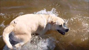 Мисси на море!