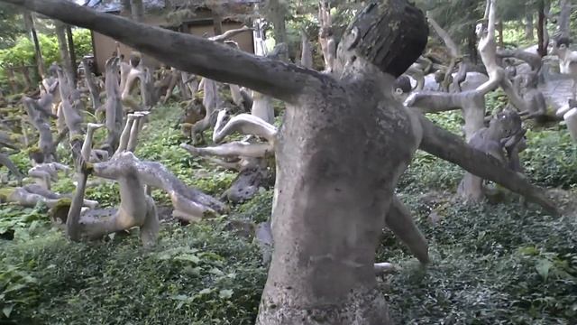 Мистический лес Вейо Рёнкёсена ч. 4 смотреть онлайн