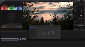 Fujifilm F-LOG Color Grading Tutorial // X-T4, X-T3, X-H1, X-S10 & X-T30