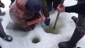 Самый огромный сазан пойман