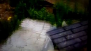 Дорожка из битой плитки