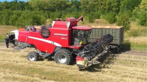 Итальянские комбайны Laverda LCS 296 на уборке пшеницы