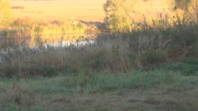 Батюшкины овечки и вход в храм. 16. 09. 20126 смотреть онлайн