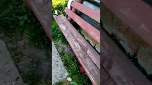 Оснастка для ловли в проводку с лодке На Оке