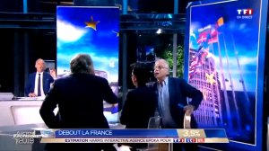 Connard, faux-cul, ignoble ordure : Violent clash entre Collard et Cohn-Bendit sur TF1