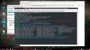 DragonOS Pi64 Interception w/ Java SS7 simulator (jss7-attack-simulator, Wireshark, pi4)