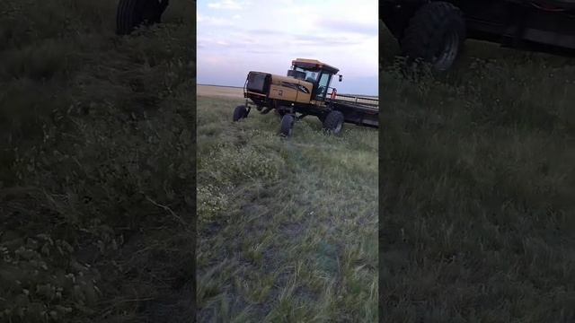Challenger самоходная косилка челенжер