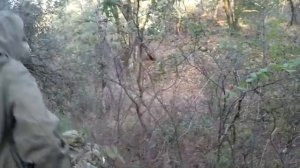 ПиКонь Выживальщика