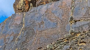 Загадки Таласа