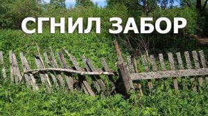 Бюджетный забор и калитка своими руками