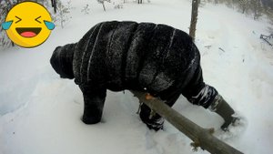 НА МОТОПСИНЕ ХЕРАЧИМ ПО ЛЕСУ 7 января