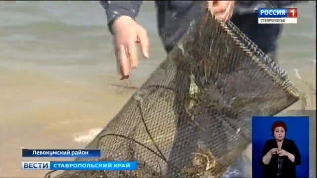 Браконьеры ловят рыбу - полиция браконьеров