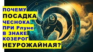 Почему посадка чеснока при Растущей Луне в знаке Козерог неурожайная? Why is the planting of garlic