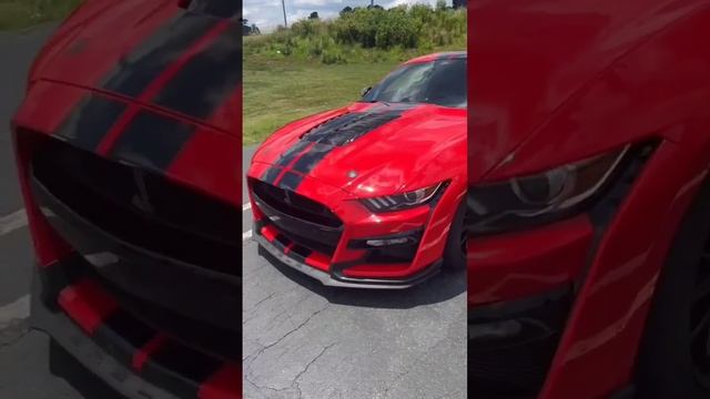 18 Year Old Crashes Shelby GT500 ? What Would You Do?