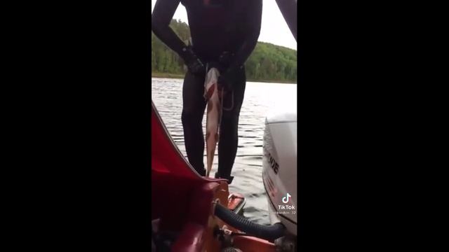 ЛайфХаки для СТРОИТЕЛЕЙ, или как щука чуть яйца не оттяпала #приколы2022 #приколы #юмор #треш