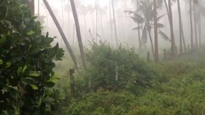 Погода на Самуи в ноябре 2014, сезон дождей