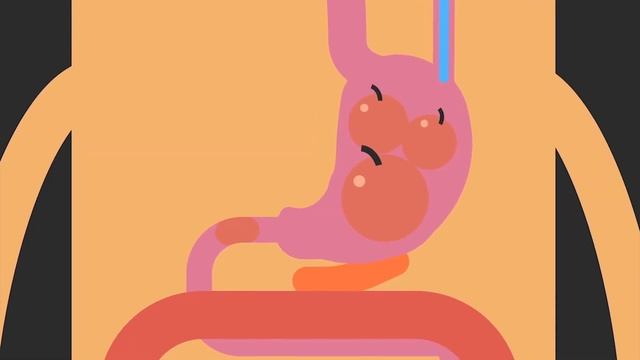 Голод и чувство сытости: как организм понимает, когда нужно поесть? [TED-Ed]