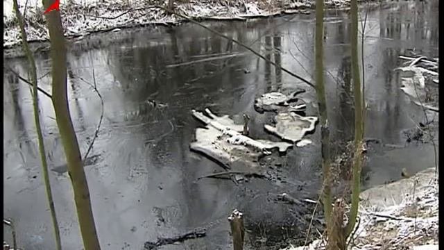 Бактерии - пожиратели нефти