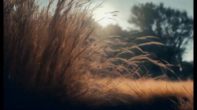 Егор Летов - Он увидел солнце Stable diffusion (deforum) нейросеть смотреть онлайн